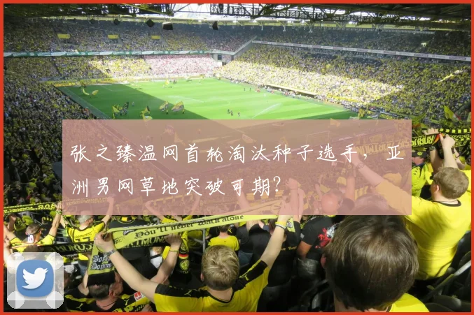 张之臻温网首轮淘汰种子选手，亚洲男网草地突破可期？