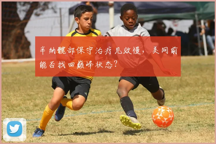 辛纳髋部保守治疗见效慢，美网前能否找回巅峰状态？
